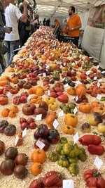IMG_1953.jpeg