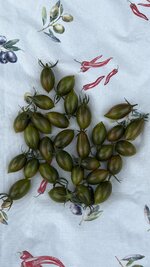 IMG_2114.jpeg