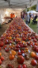 IMG_7583.jpeg