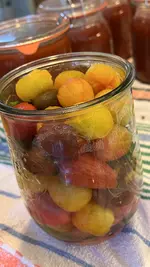 IMG_7563.jpeg