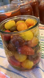 IMG_7563.jpeg