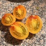 IMG_7330.jpeg