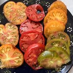 IMG_3547.jpeg