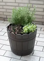 250330_kraeutertopf.jpg