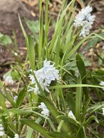 IMG_6380.jpeg