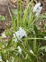 IMG_6380.jpeg