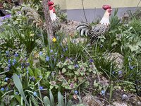 IMG_6385.jpeg