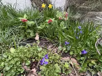 IMG_6387.jpeg