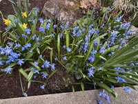 IMG_6391.jpeg