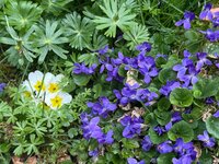 IMG_6393.jpeg
