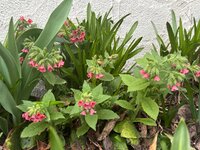 IMG_6392.jpeg