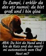 Bild 1.webp
