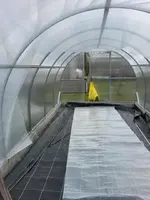 Neuer Tunnel März 2025 4.webp