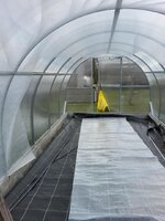 Neuer Tunnel März 2025 4.jpg