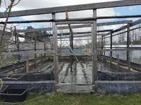 Erdbeerkäfig März 2025 2.webp