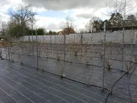 Minikiwis März 2025.webp