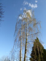 P1070576.JPG