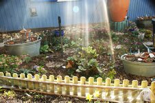 DSC01048.JPG