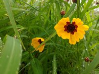 IMG_20240803_154451.jpg