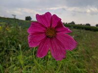 IMG_20240803_154432.jpg