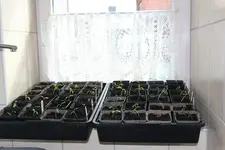 April   0125 JPG.webp