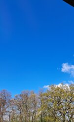 20250401_141959.jpg