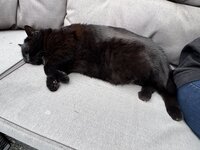 IMG_6369.jpeg