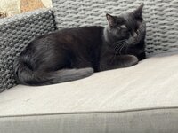 IMG_6370.jpeg