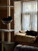 IMG_6404.jpeg