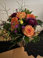 IMG_6353.jpeg