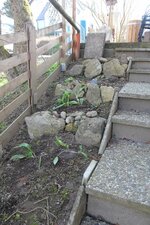 IMG_5018.JPG