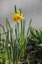 IMG_5032.JPG