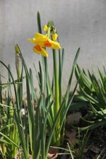 IMG_5032.JPG
