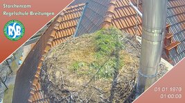 IMG_1926.jpeg