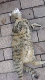 DSCF2930.JPG
