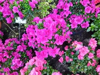 IMG_20250323_152409.webp
