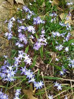 IMG_20250323_160436.jpg