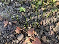 IMG_6184.jpeg