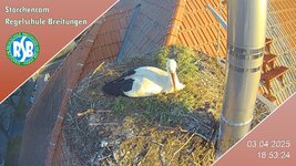 IMG_1929.jpeg