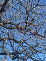 IMG_1431.jpeg