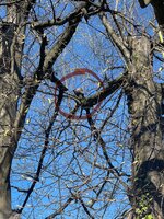 IMG_1430.jpeg