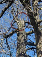 IMG_1429.jpeg