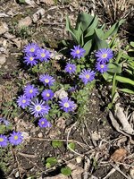 IMG_8295.jpeg