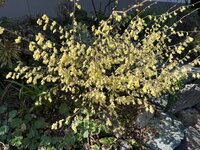IMG_8296.jpeg