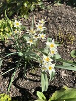 IMG_8299.jpeg