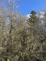 IMG_0065.jpeg