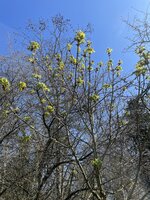 IMG_0105.jpeg