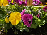 20250403_123253.webp