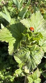 IMG_3881.jpeg