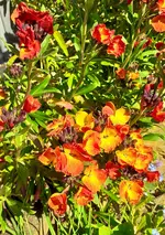 20250404_112439.webp